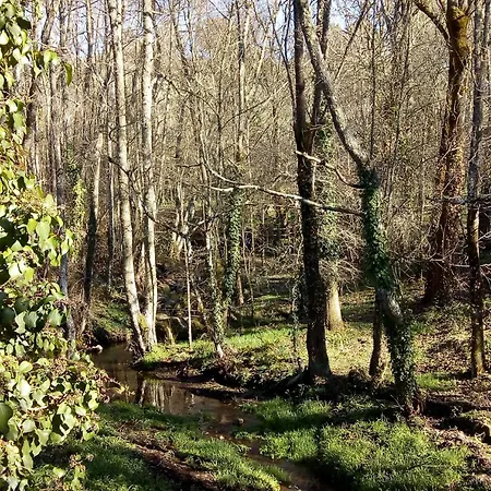 度假居 A Casa Da Boa Xente Vut-ou-1329 *